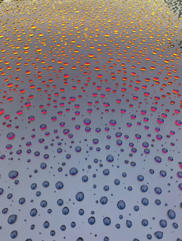 droplets on a car windshield during sunset