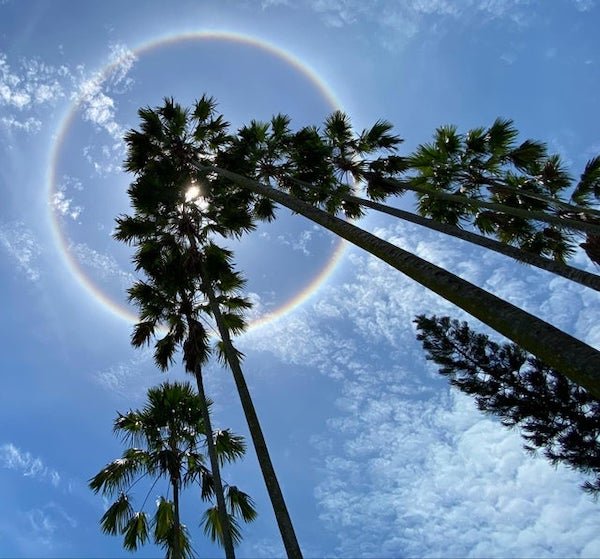 ring rainbow singapore