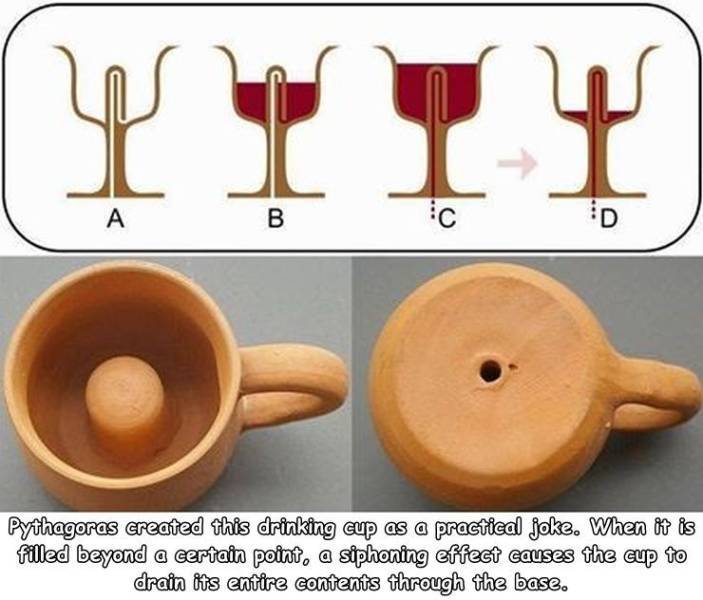interesting facts on pythagoras - Yit Ii . B ic D Pythagoras created this drinking cup as a practical joke. When it is Filled beyond a certain point, a siphoning effect causes the cup to drain its entire contents through the base.