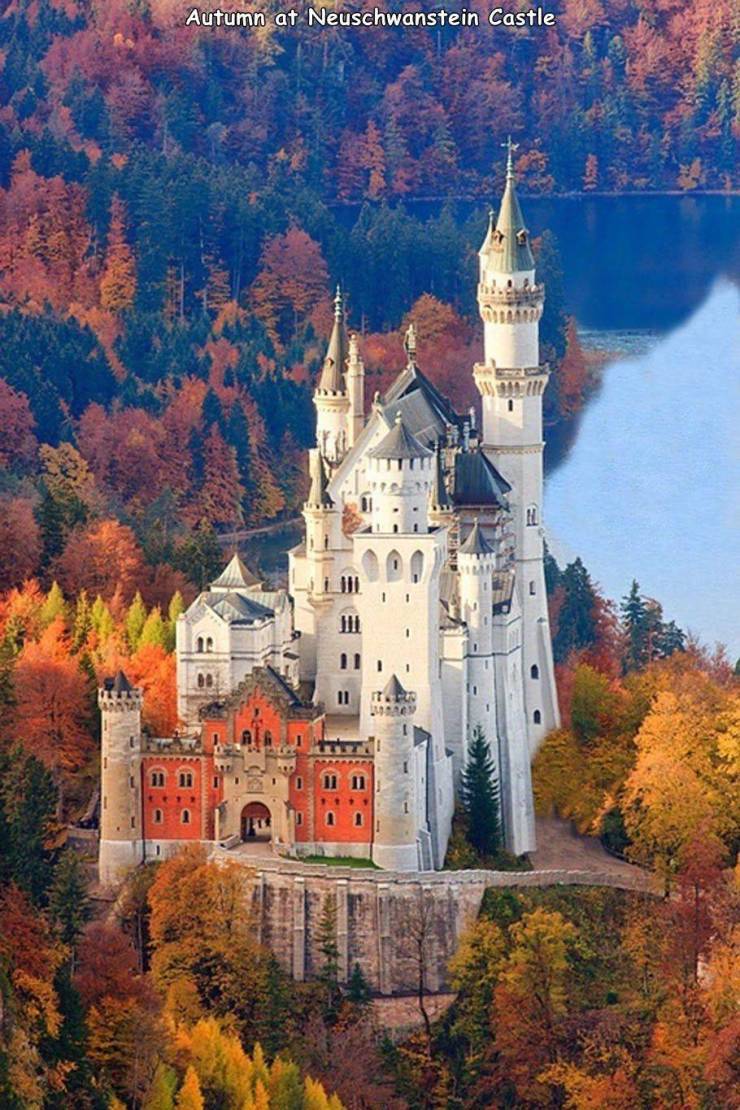 neuschwanstein castle german castles - Autumn at Neuschwanstein Castle Iii