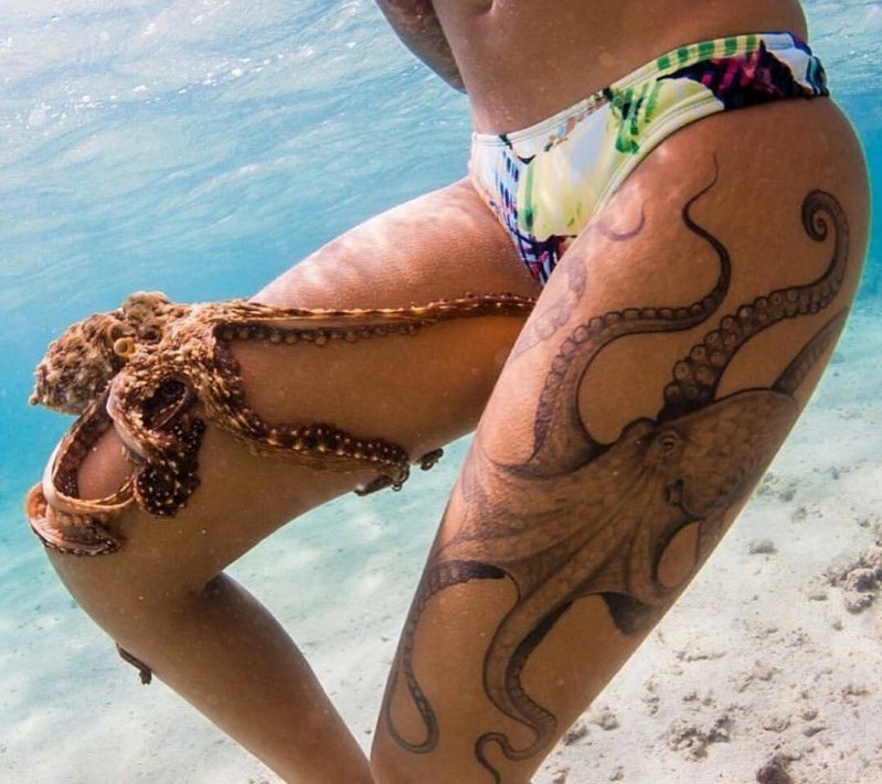 octopus tattoos on thigh