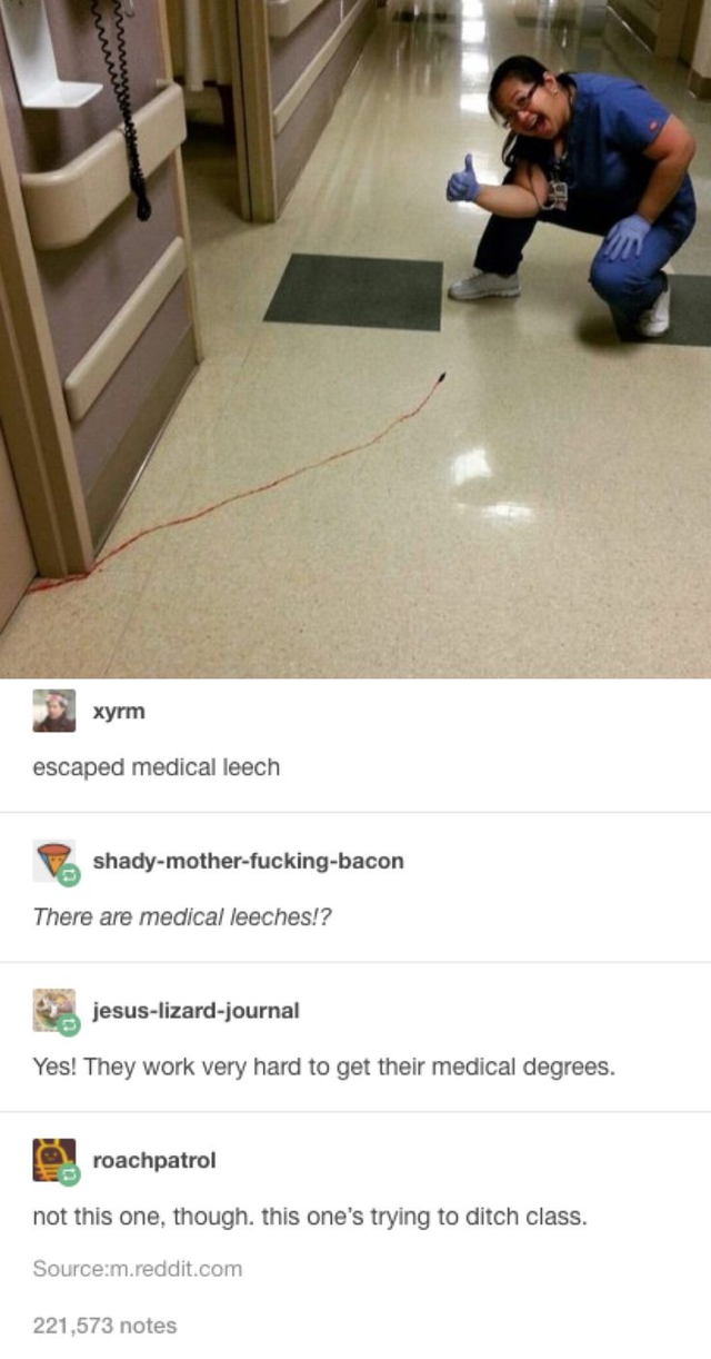 laugh guaranteed funniest memes of all time - escaped medical leech shadymotherfuckingbacon There are medical leeches!? jesuslizardjournal Yes! They work very hard to get their medical degrees. roachpatrol not this one, though this one's trying to ditch c
