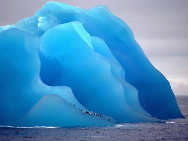 iceberg blue