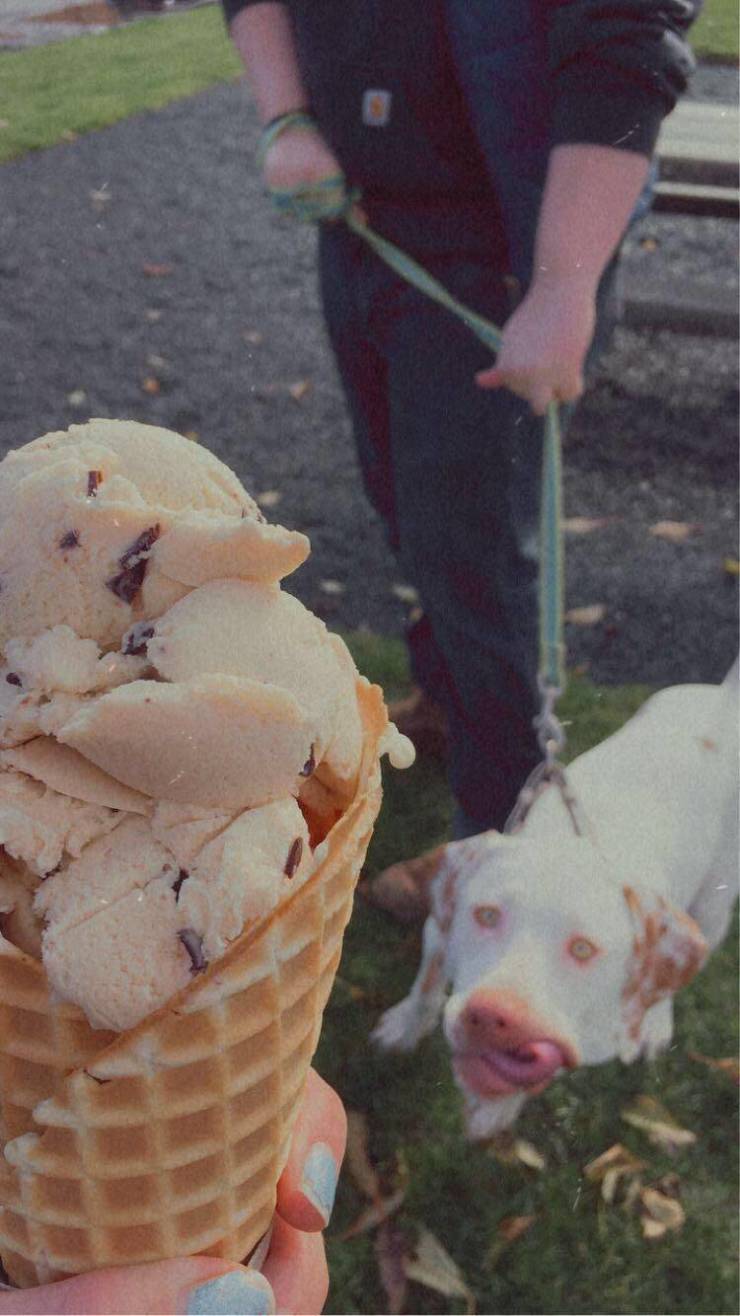 funny random pics - ice cream cone