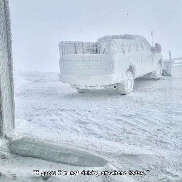 funny random pics - snow - "I guess I'm not driving anywhere today."