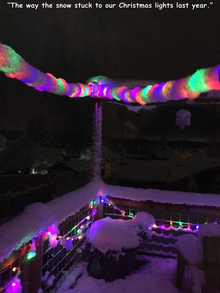 funny random pics - light - "The way the snow stuck to our Christmas lights last year."