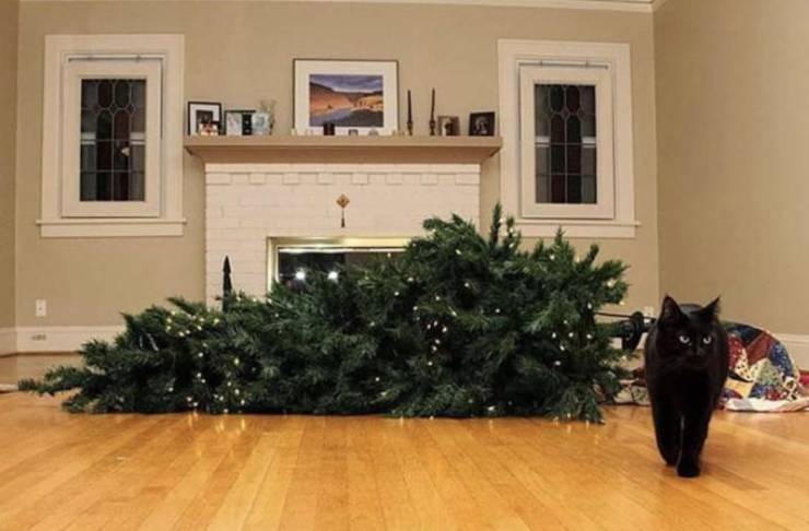 cat knocking down christmas tree