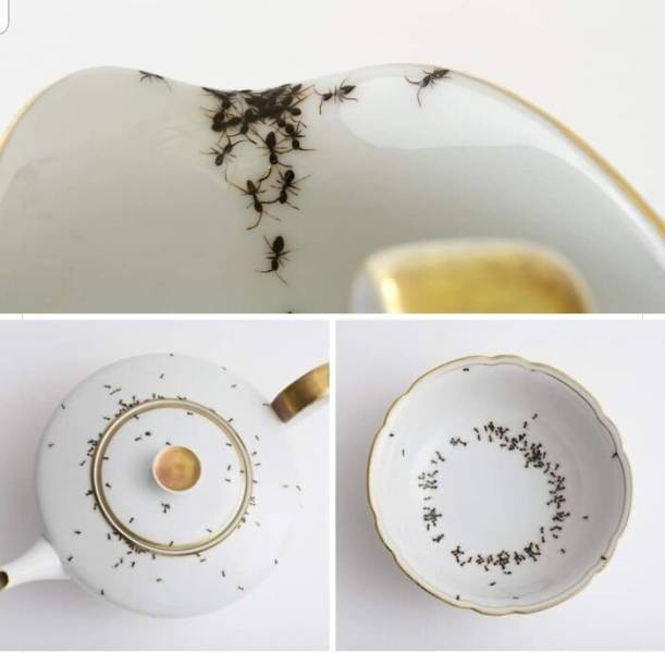 vintage porcelain with ants