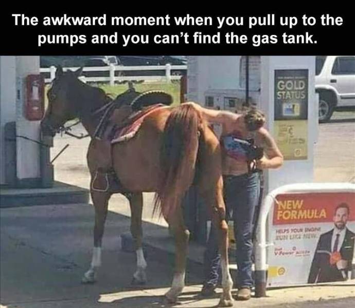 cursed gas station - The awkward moment when you pull up to the pumps and you can't find the gas tank. Gold Status New Formula Musinone