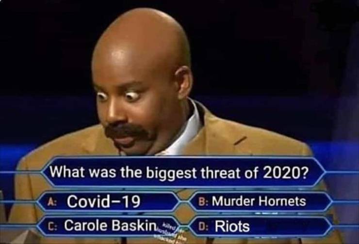 wants to be a millionaire - What was the biggest threat of 2020? A Covid19 B Murder Hornets C Carole Baskin Sd Riots