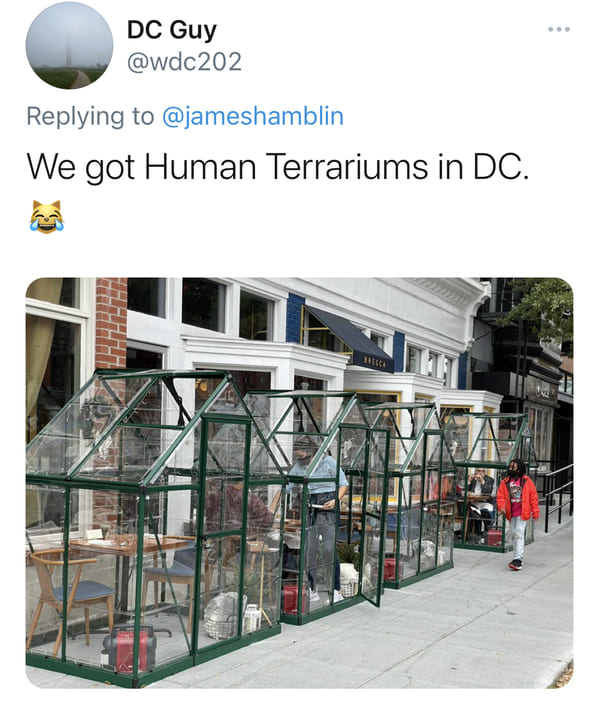 glass - Dc Guy We got Human Terrariums in Dc. 1116