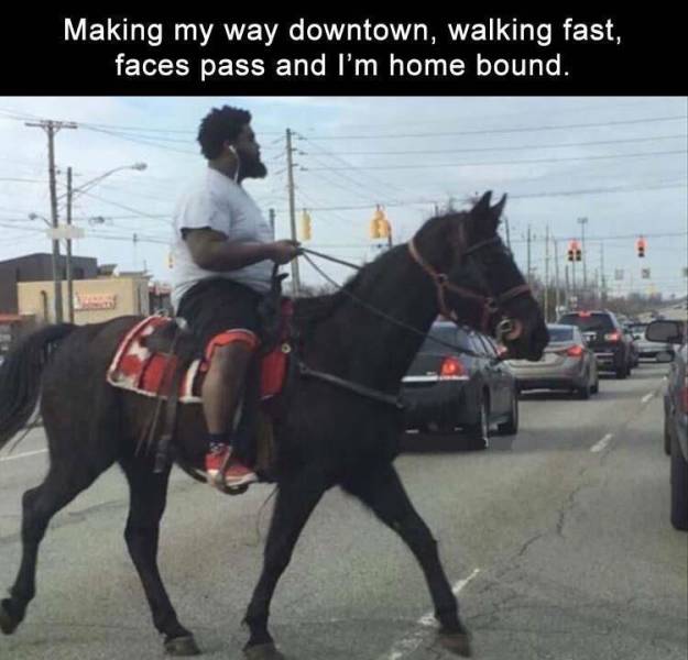 riding horse in street - Making my way downtown, walking fast, faces pass and I'm home bound.