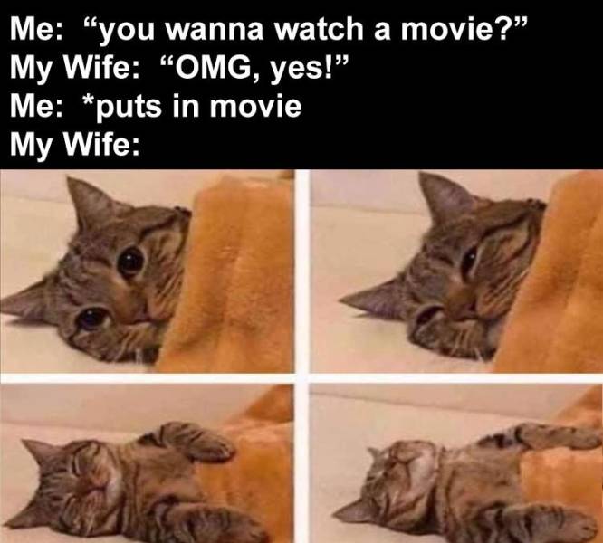 sleeping cat meme template - Me "you wanna watch a movie?" My Wife "Omg, yes!" Me puts in movie My Wife