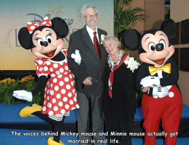funny photos - walt disney world - The voices behind Mickey mouse and Minnie mouse actually got married in real life.