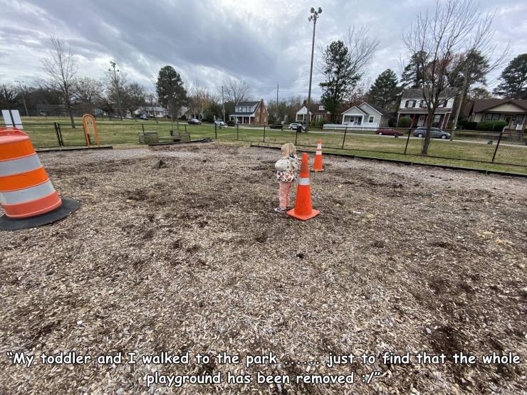 funny photos - tree - Ota "My toddler and I walked to the park ....do just to find that the whole playground has been removed