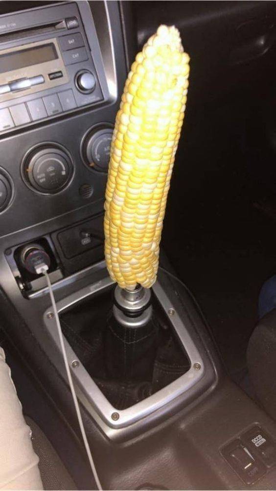 funny photos - corn cursed