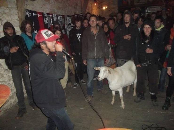 goat in concert - Spa