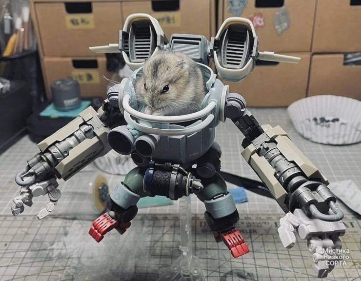 hamster with mech suit