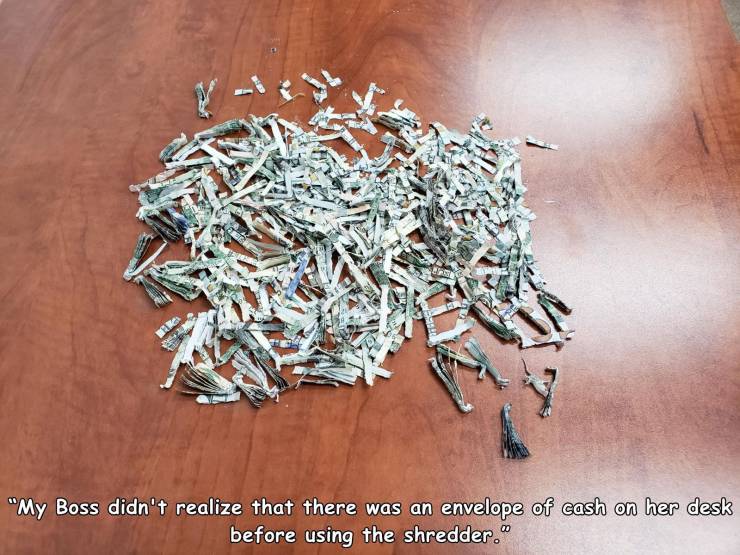 funny random pics - hojicha - P "My Boss didn't realize that there was an envelope of cash on her desk before using the shredder."