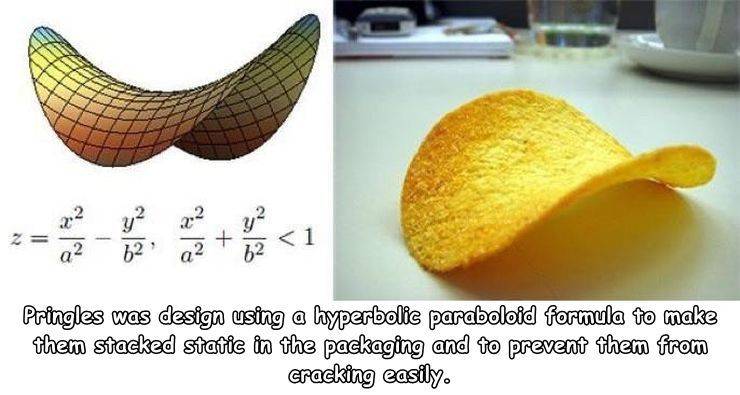 funny random pics - hyperbolic paraboloid pringle chip - 62 a2 62