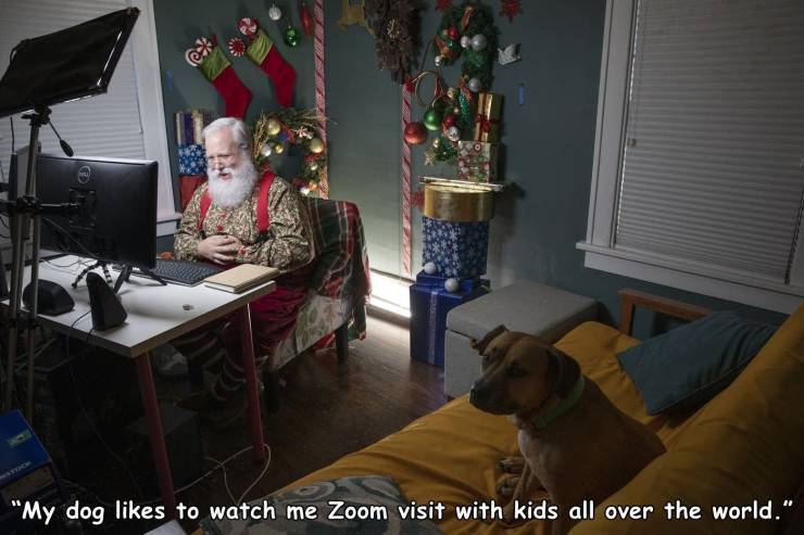 room - "My dog to watch me Zoom visit with kids all over the world."