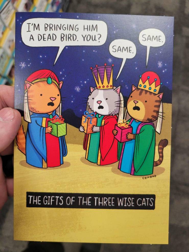 random funny pics - The Three Wise Cats Funny Christmas Card - I'M Bringing Him A Dead Bird. You? Same. Same. Conrad The Gifts Of The Three Wise Cats