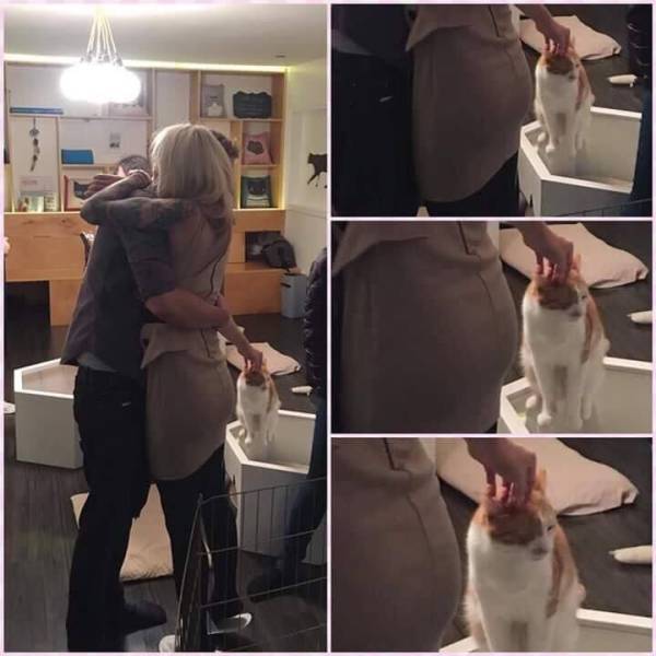 funny random photos - couple hugging but the man is reaching around to pet a cat