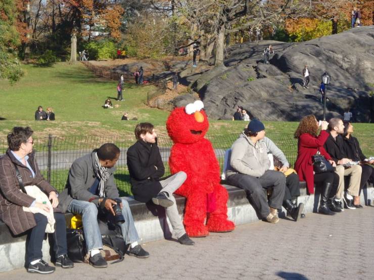 funny random photos - guy wearing elmo suit hanging out in central park manhattan new york city