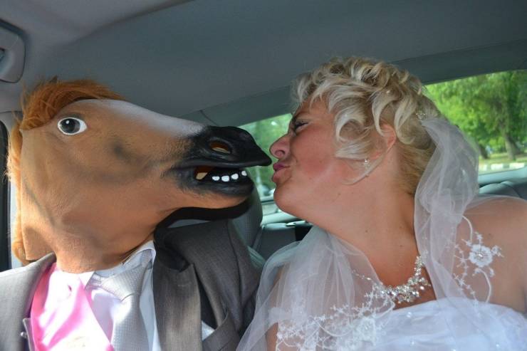 funny random photos - married couple but one of them is wearing a horse mask