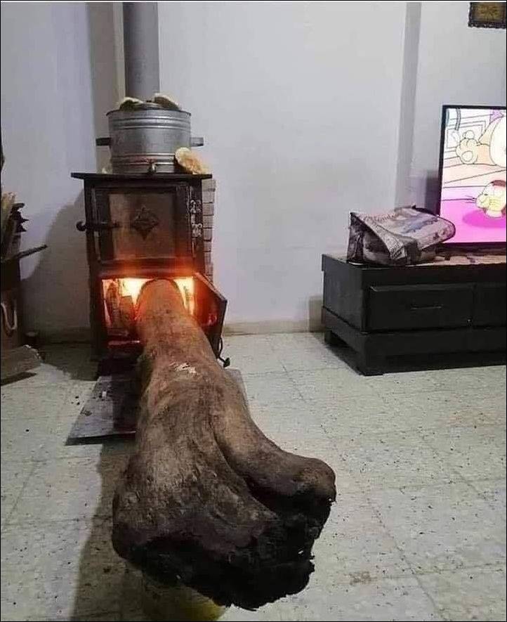 funny random photos - enormous log in tiny fireplace