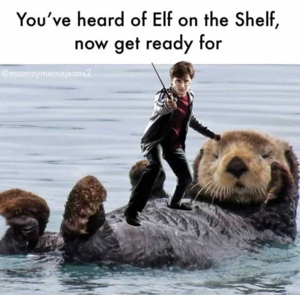 monterey bay sea otters - You've heard of Elf on the Shelf, now get ready for
