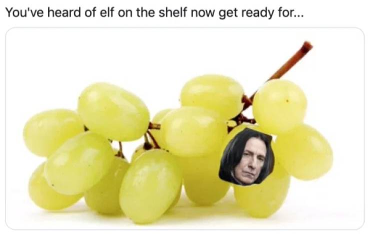 severus snape - You've heard of elf on the shelf now get ready for...