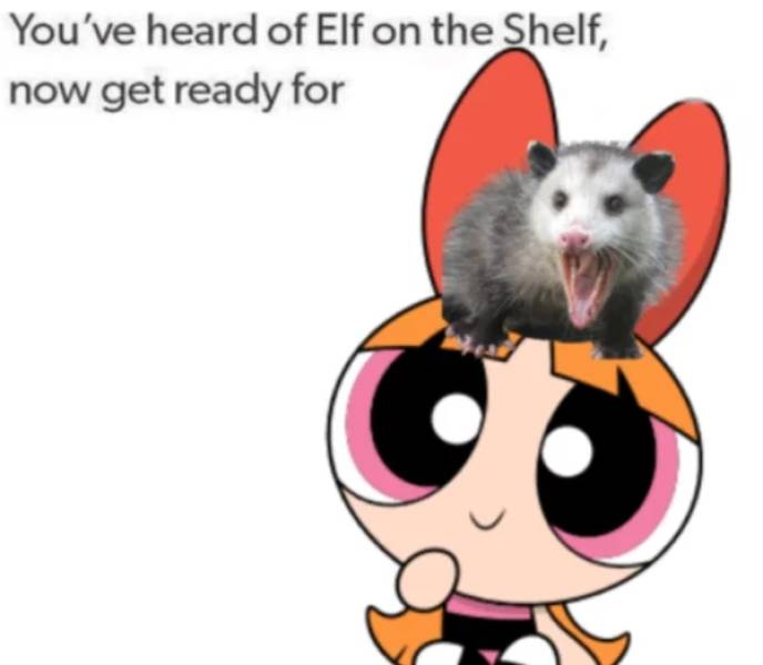 blossom powerpuff girls - You've heard of Elf on the Shelf, now get ready for