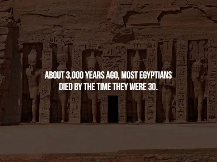 Cei About 3,000 Years Ago, Most Egyptians Died By The Time They Were 30. Le