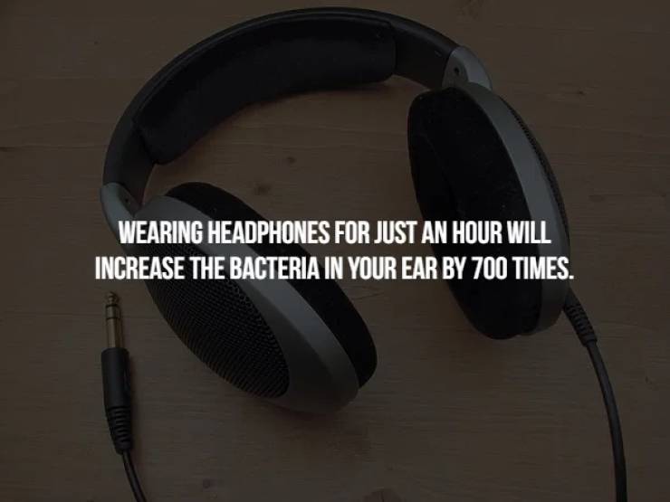 headphones - Wearing Headphones For Just An Hour Will Increase The Bacteria In Your Ear By 700 Times.