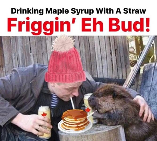 you re 12 beers deep - Drinking Maple Syrup With A Straw Friggin' Eh Bud!