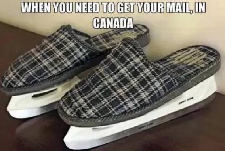 cold memes canada - When You Need To Get Your Mail, In Canada