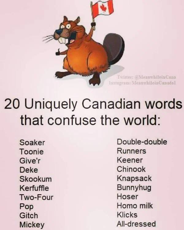 only in canada - Twitter deanu silein Cana Instagram Afew while in Canada 20 Uniquely Canadian words that confuse the world Soaker Toonie Give'r Deke Skookum Kerfuffle TwoFour Pop Gitch Mickey Doubledouble Runners Keener Chinook Knapsack Bunnyhug Hoser Ho