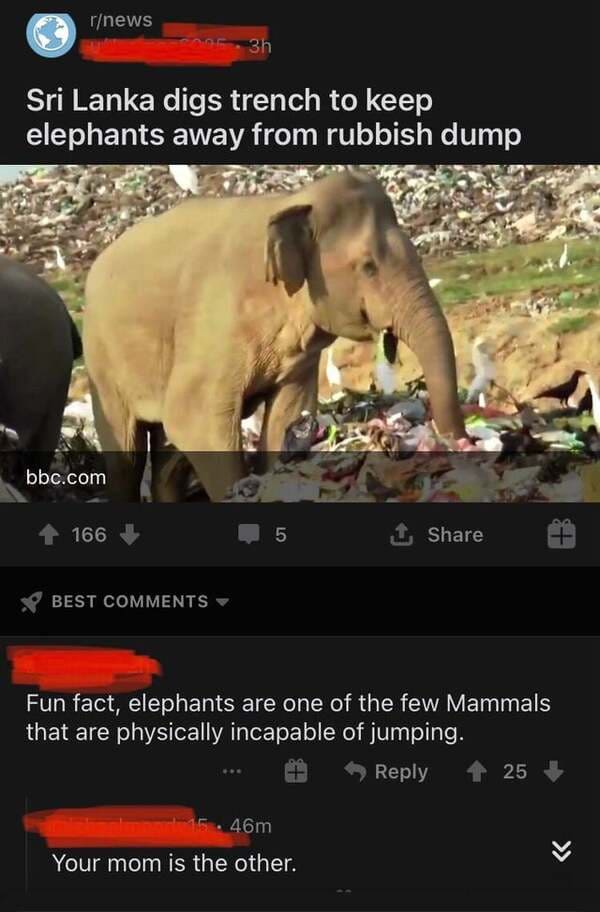 photo caption - rnews 3h Sri Lanka digs trench to keep elephants away from rubbish dump bbc.com 166 5 1, Best Fun fact, elephants are one of the few Mammals that are physically incapable of jumping. 25 16.46m Your mom is the other.