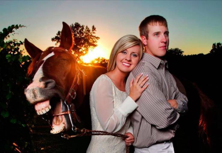 horse photobombing