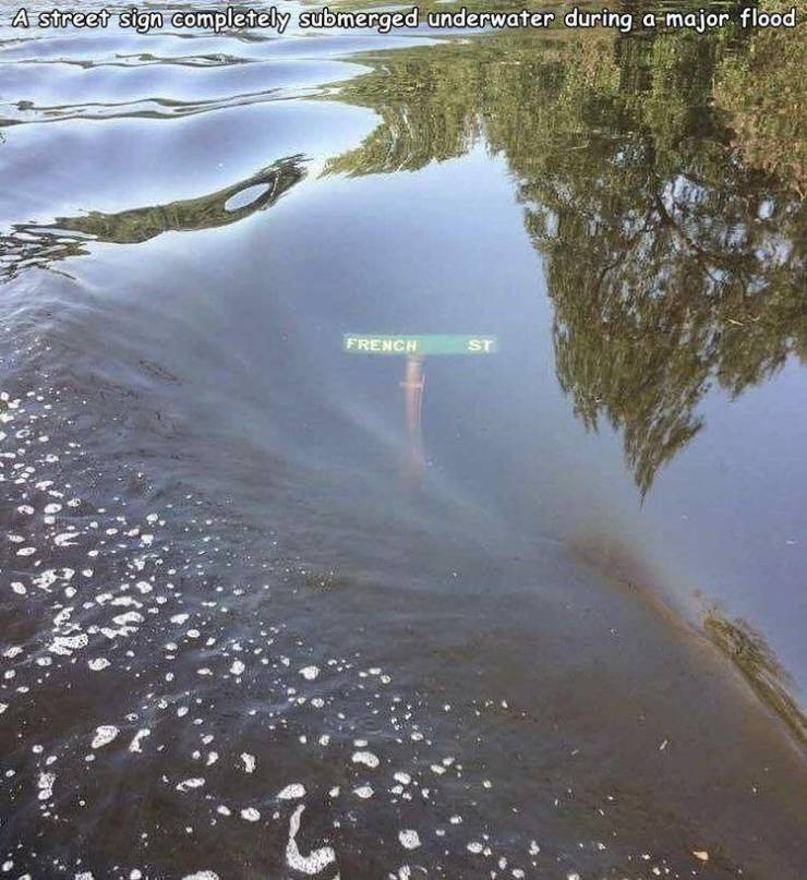 Texas - A street sign completely submerged underwater during a major flood French St