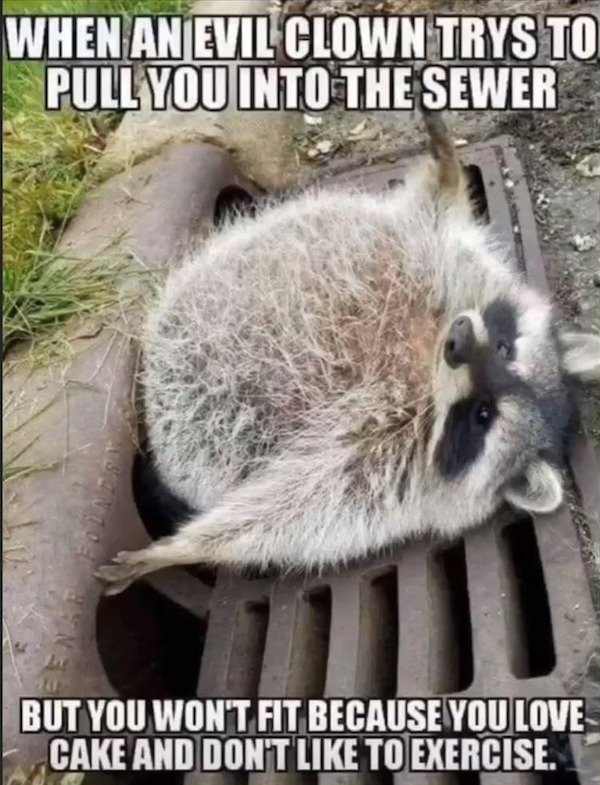fat raccoon sewer grate - When An Evil Clown Trys To Pull You Into The Sewer But You Won'T Fit Because You Love Cake And Don'T To Exercise.