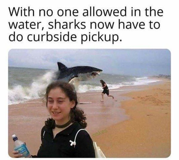 shark curbside meme - With no one allowed in the water, sharks now have to do curbside pickup. cakes