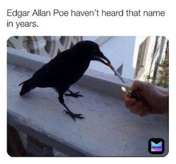 edgar allan poe raven meme - Edgar Allan Poe haven't heard that name in years.