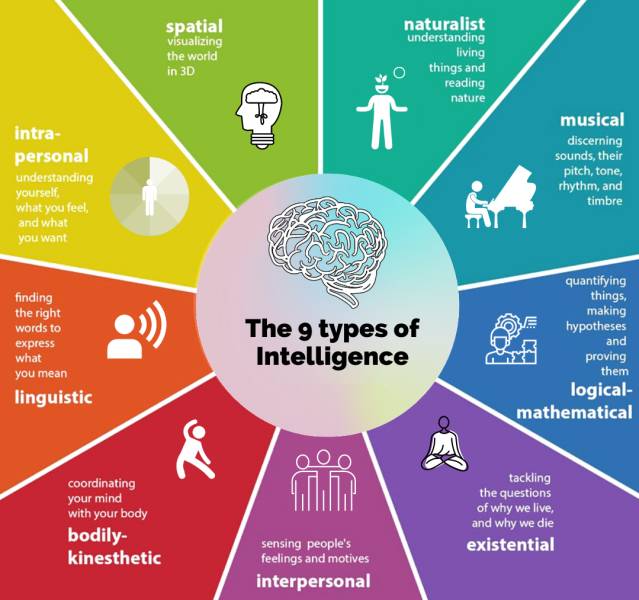 types of intelligence - spatial visualizing the world in 3D naturalist understanding living things and reading nature T intra personal understanding yourself what you feel, and what you want musical discerning sounds, their pitch, tone. rhythm, and timbre