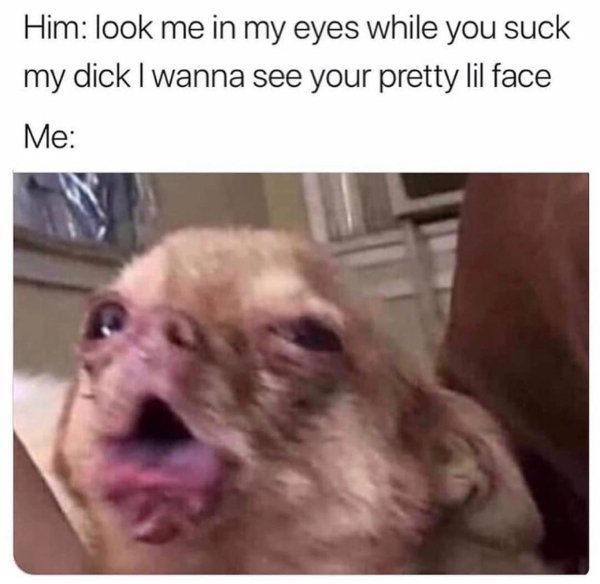 kinky memes - Him look me in my eyes while you suck my dick I wanna see your pretty lil face Me