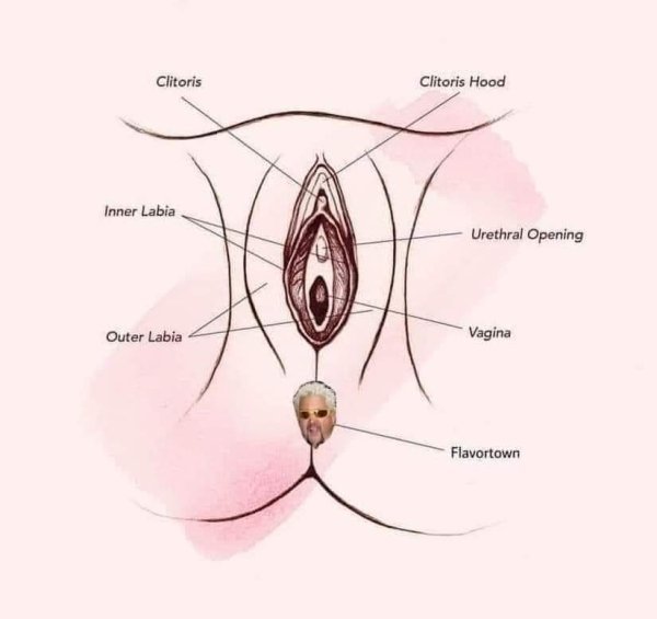 eye - Clitoris Clitoris Hood Inner Labia Urethral Opening Outer Labia Vagina Flavortown