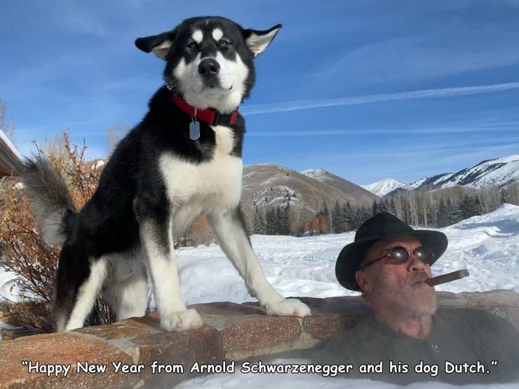 New Year - "Happy New Year from Arnold Schwarzenegger and his dog Dutch."
