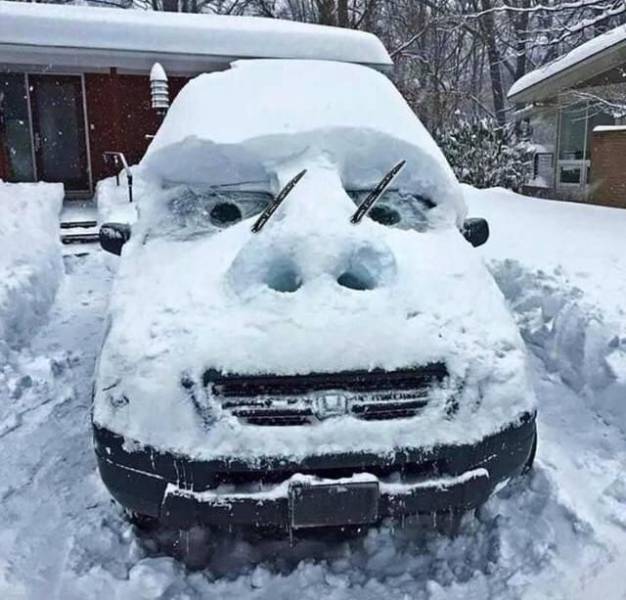 snow face