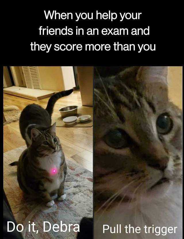 cat - When you help your friends in an exam and they score more than you Do it, Debra Pull the trigger